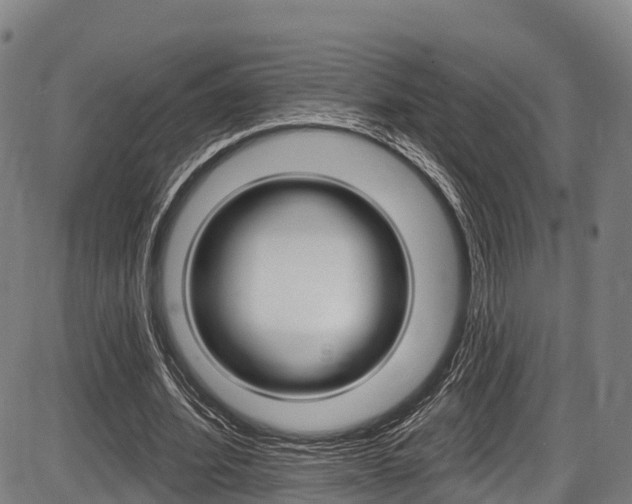 X0000087590580200704271112