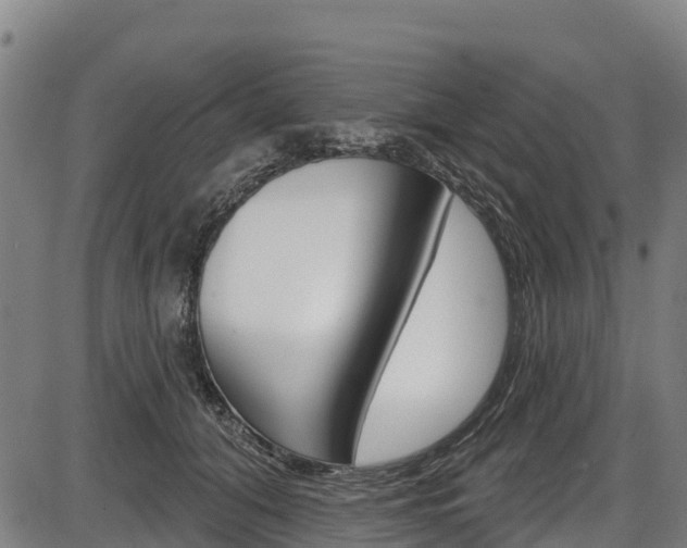 X0000087590608200704271112