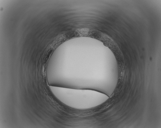 X0000087590610200704271112