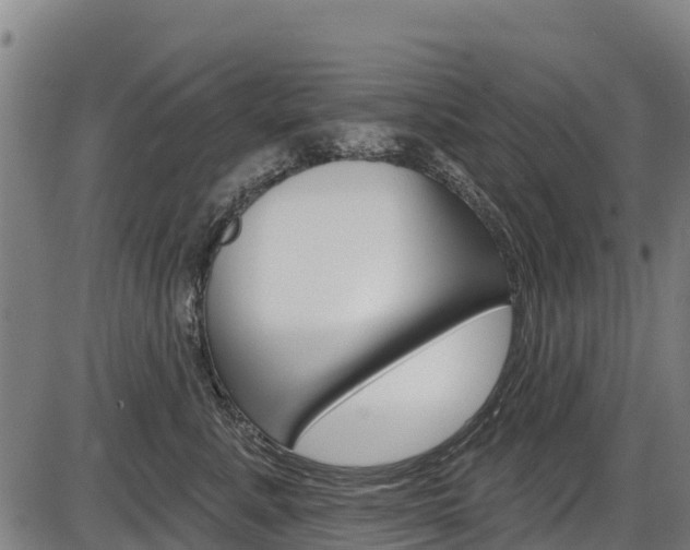 X0000087590619200704271112