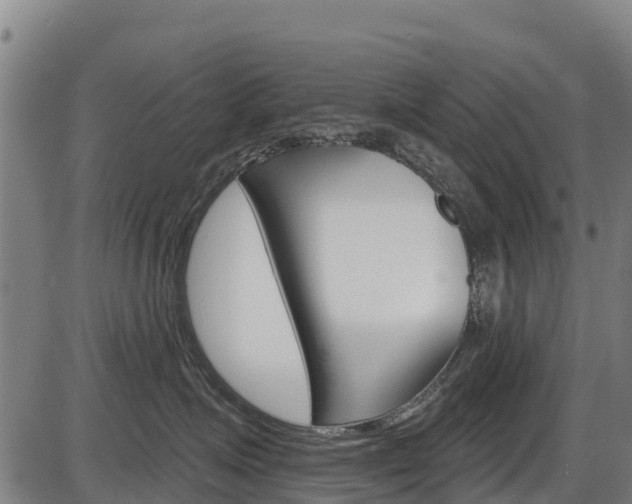 X0000087590623200704271112