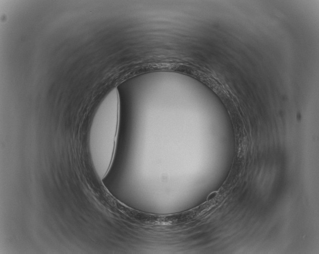 X0000087590647200704271111