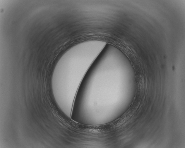 X0000087590649200704271111