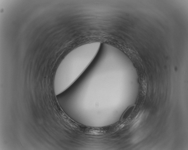 X0000087590657200704271111