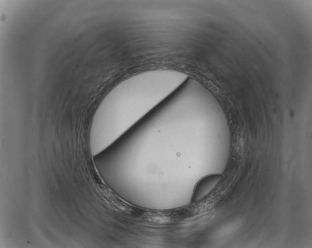 X0000087590658200704271111