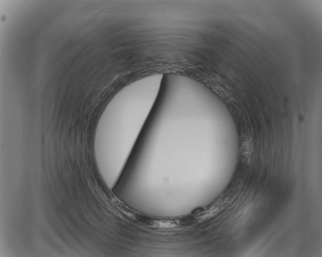 X0000087590662200704271111