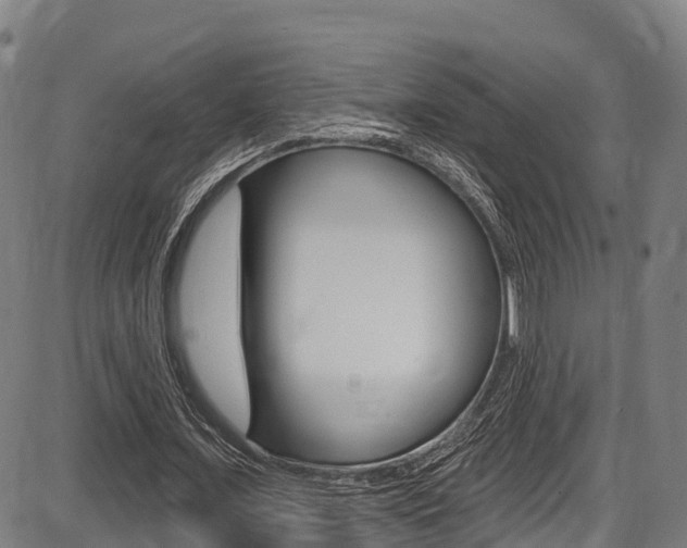 X0000087590675200704271111