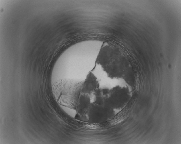 X0000087590699200704271110