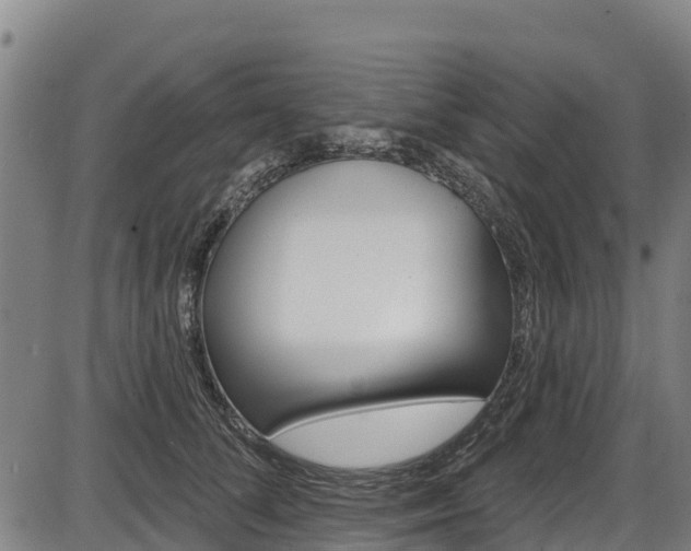X0000087590708200704271110