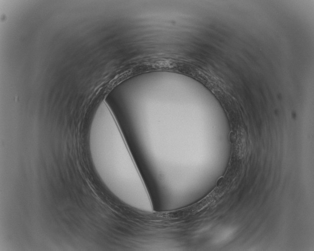 X0000087590747200704271110