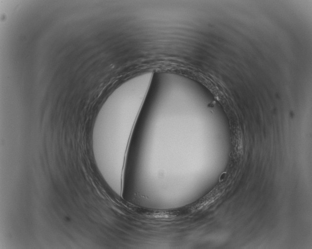 X0000087590759200704271110