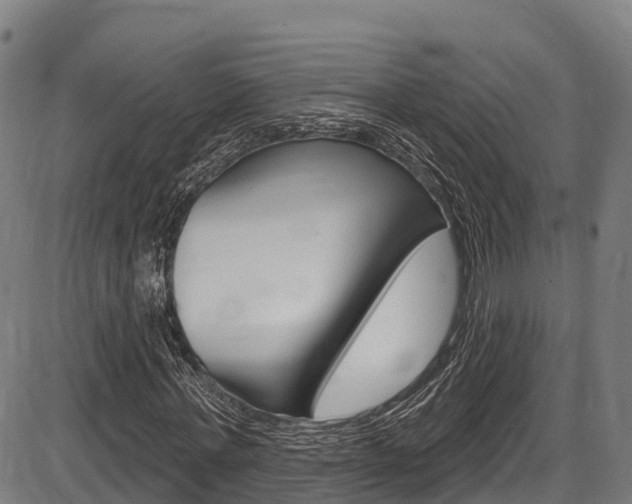 X0000087590771200704271109