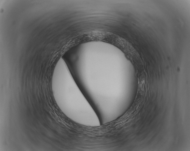 X0000087590772200704271109
