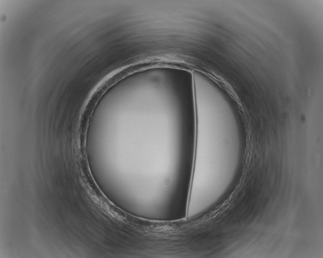 X0000087590784200704271109