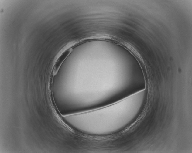 X0000087590797200704271109