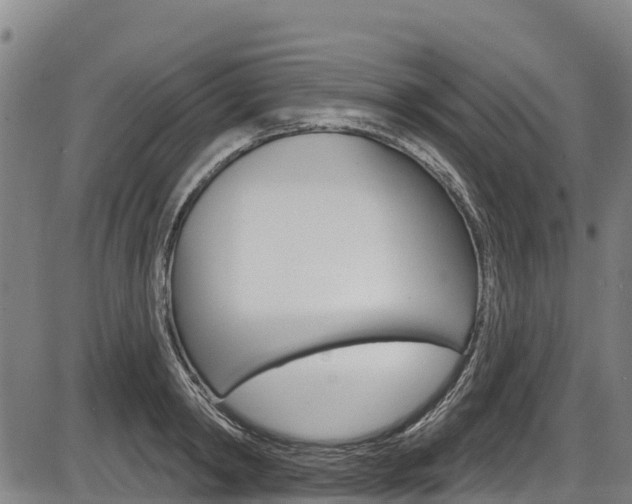 X0000087590798200704271109