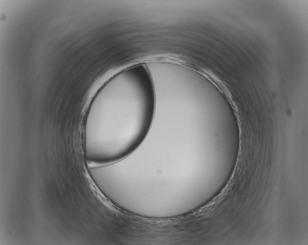 X0000087590816200704271108