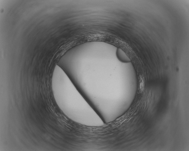 X0000087590819200704271108
