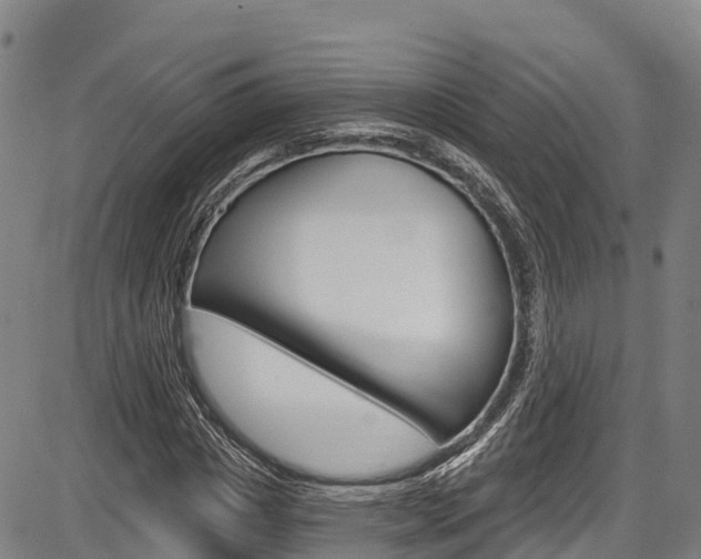 X0000087590825200704271108