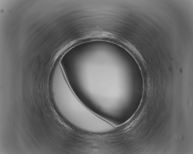 X0000087590834200704271108