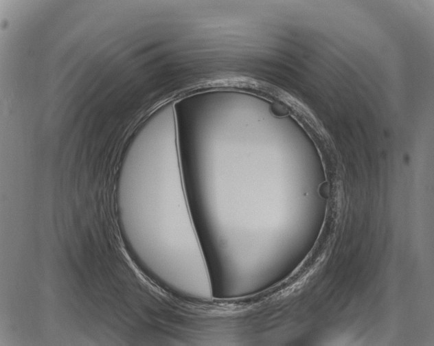X0000087590841200704271108