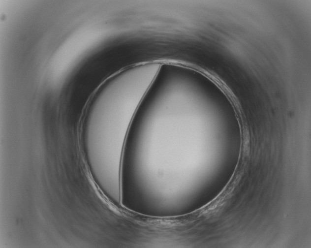 X0000087590862200704271108