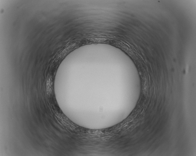 X0000087590866200704271108