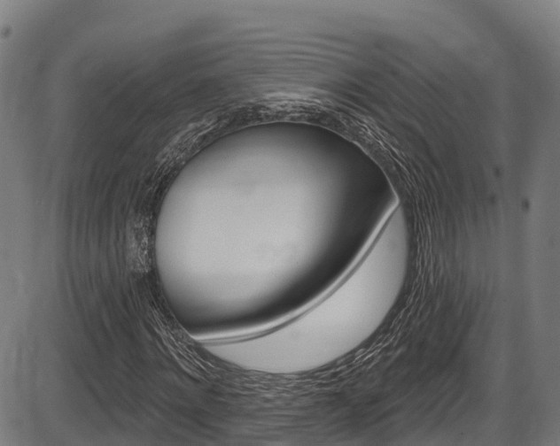 X0000087590868200704271108