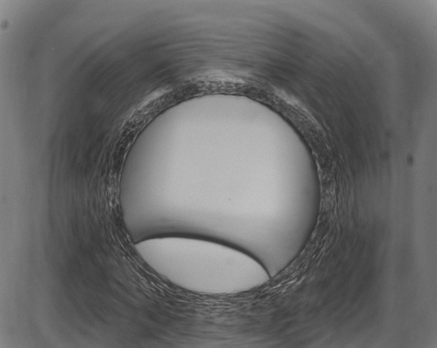 X0000087590870200704271108