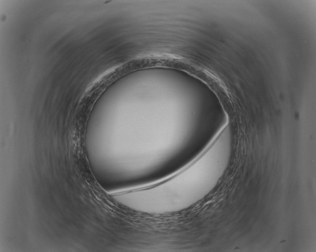 X0000087590872200704271108