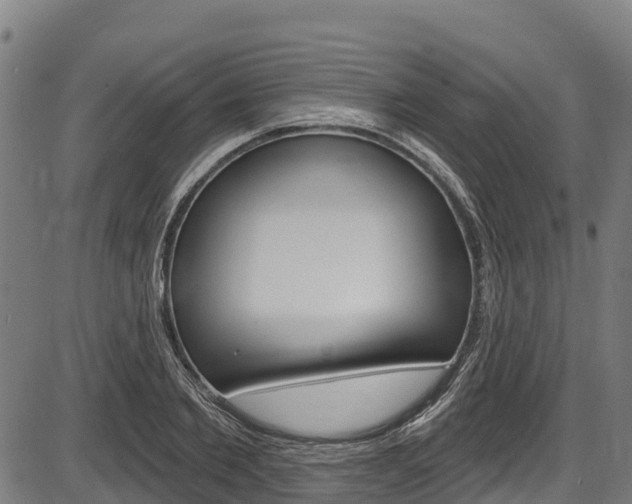 X0000087590885200704271107