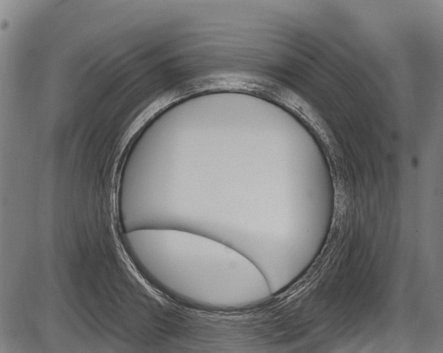 X0000087590890200704271107