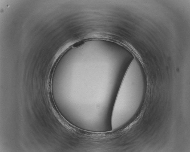 X0000087590893200704271107