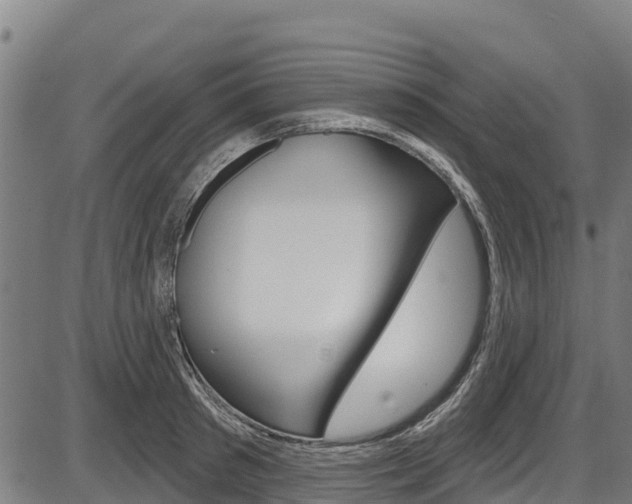 X0000087590897200704271107
