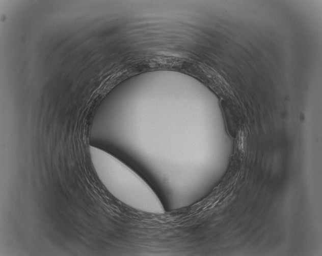 X0000087590915200704271106