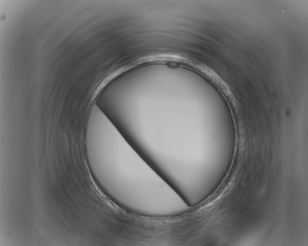 X0000087590945200704271107