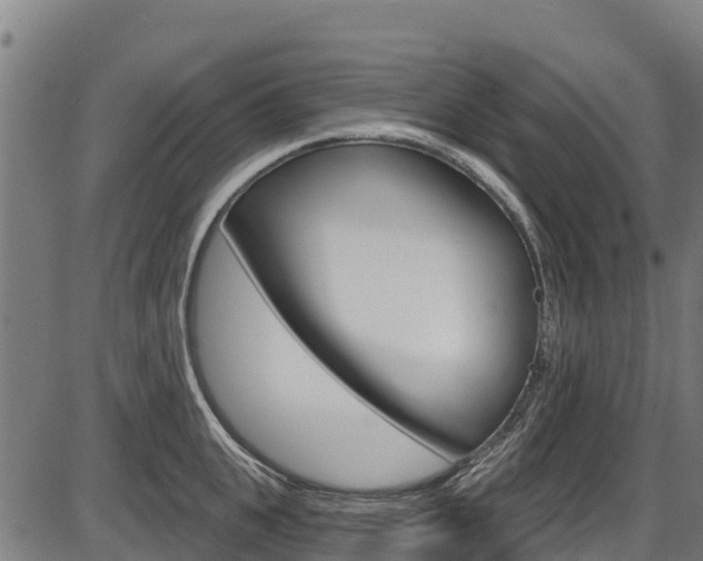 X0000087590951200704271107