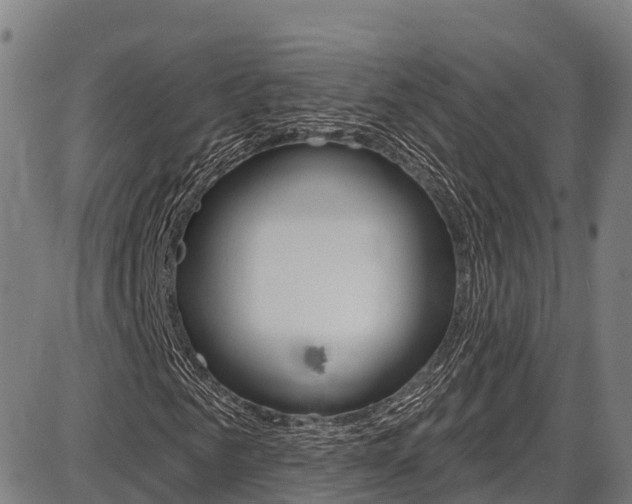 X0000087590961200704271106