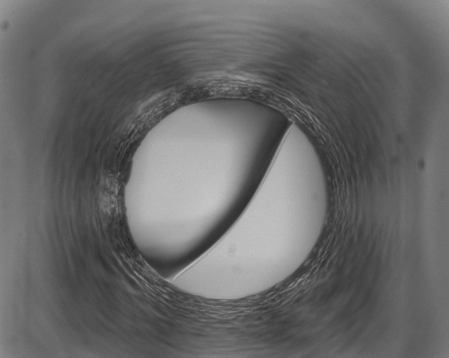X0000087590964200704271106