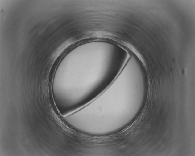 X0000087590972200704271106