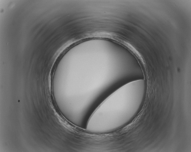 X0000087590988200704271106