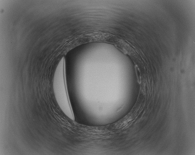 X0000087591010200704271105