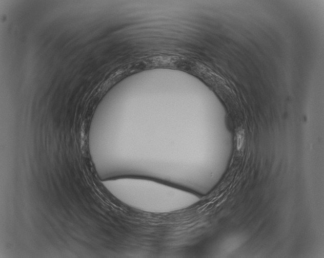 X0000087591011200704271105