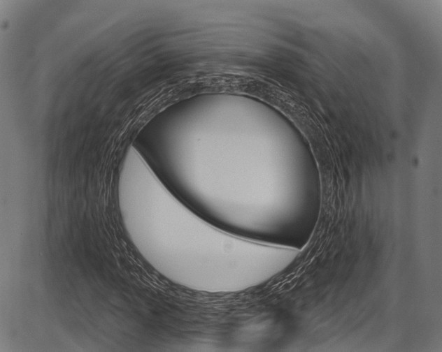X0000087591013200704271105
