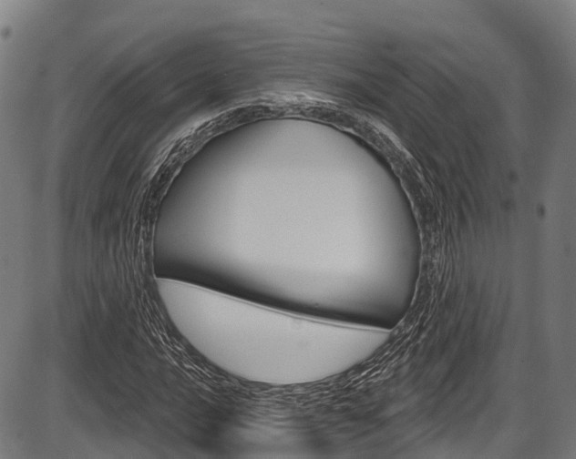X0000087591016200704271105