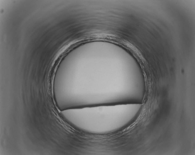 X0000087591023200704271105