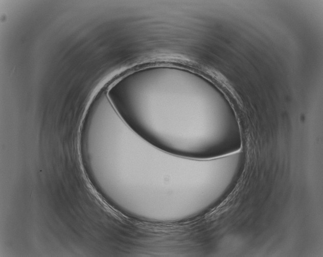 X0000087591024200704271105