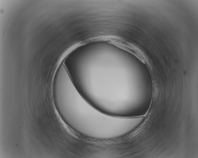X0000087591050200704271105