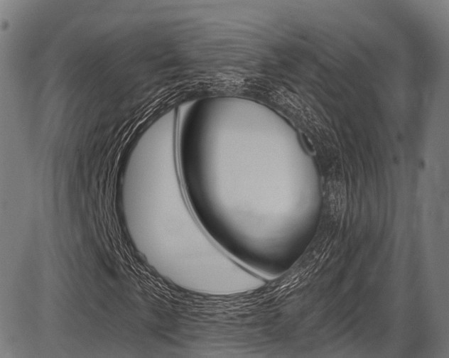 X0000087591057200704271105