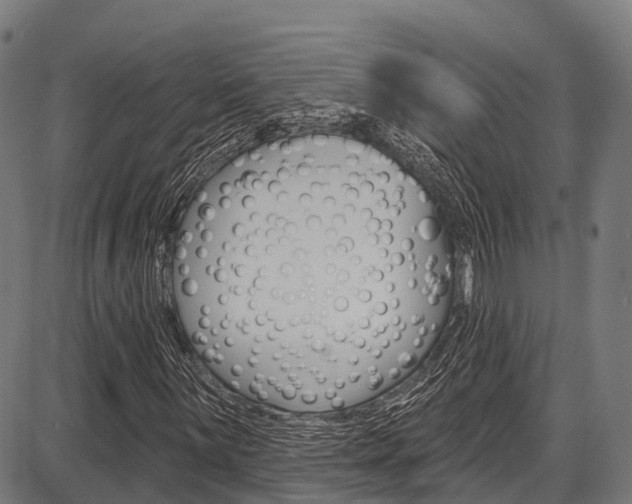 X0000087591059200704271104